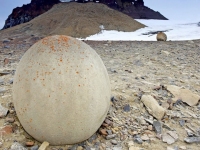 Каменные шары острова Чампа